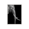 Quadro Moldura para Cartaz de Elefantes de Impressão Fotográfica 50x70cm Unika 0017 Venda