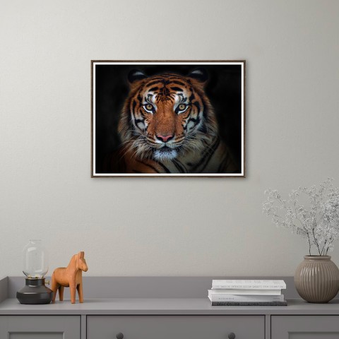 Imprimir fotografia imagem tigre animais moldura 30x40cm Unika 0027