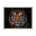 Quadro Pintura Moldura Fotográfica de Tigre Animal 30x40cm Unika 0027 Venda