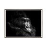 Quadro Moldura Fotográfica Animais Gorila 30x40cm Unika 0026 Venda