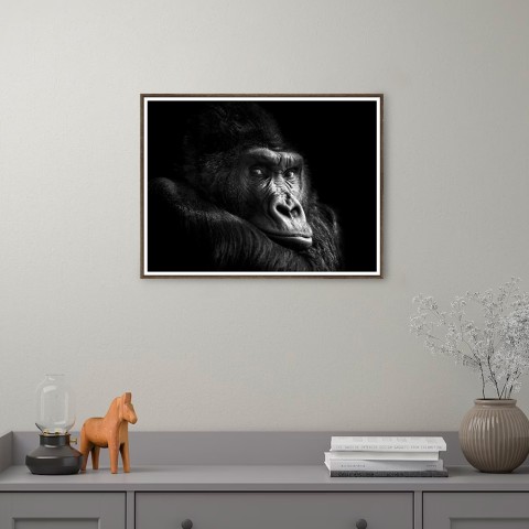 Quadro Moldura Fotográfica Animais Gorila 30x40cm, Unika 0026 Promoção