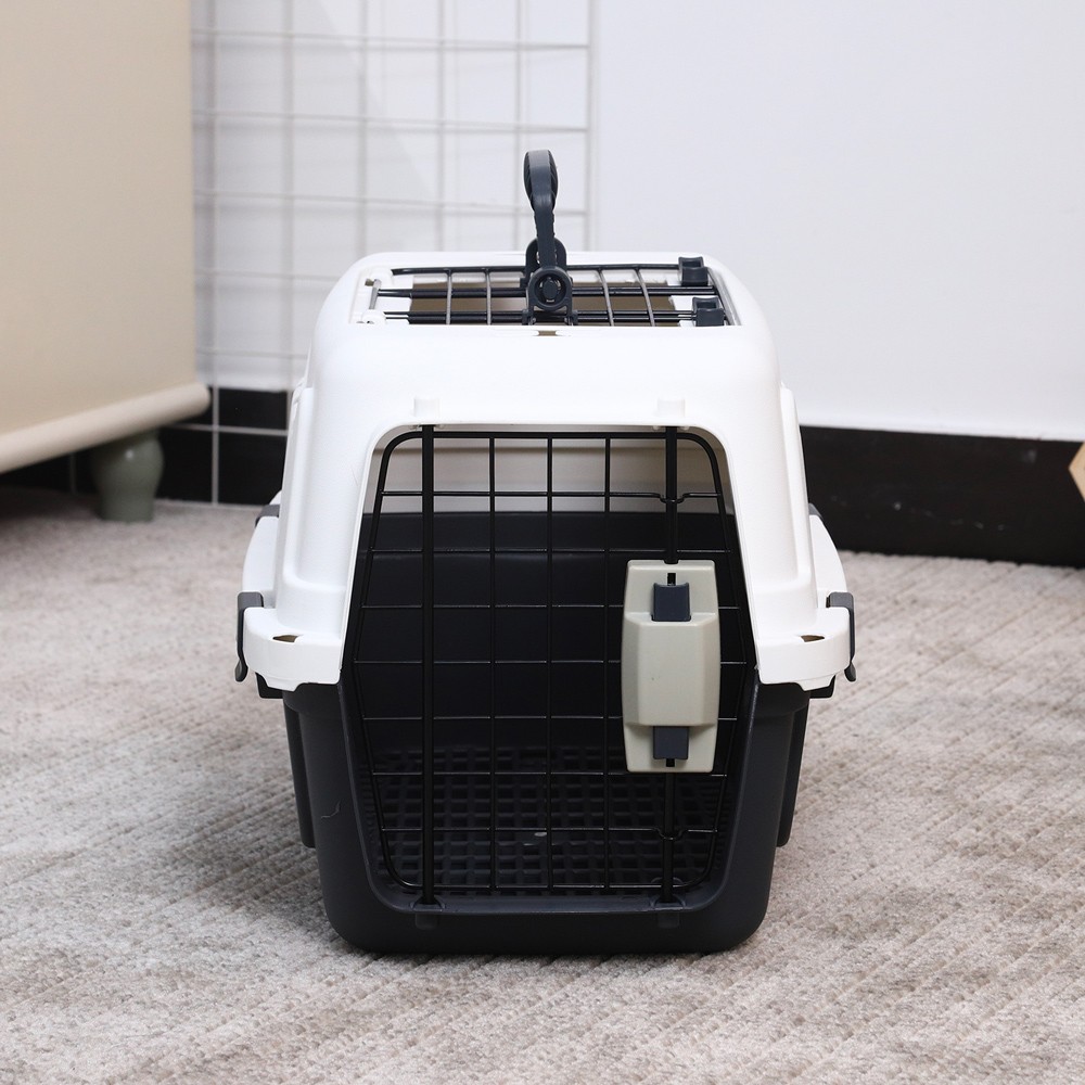 Transportadora rígida caixa para animais com tapete 30x45x30cm Rexxy M