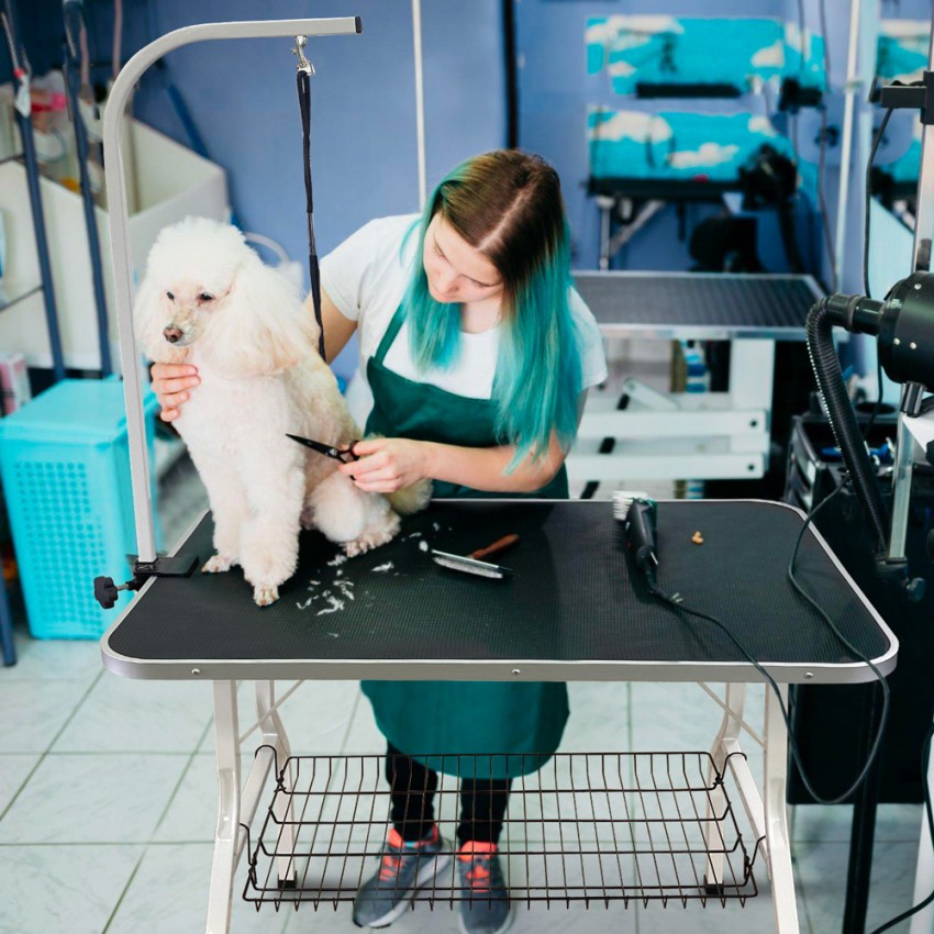 Mesa Dobrável para Tosquia de Cães, Gatos e Animais Bouledogue