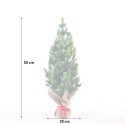 Árvore de Natal Artificial pequena de 50cm c/Pinhas e Neve falsa Stoeren Estoque