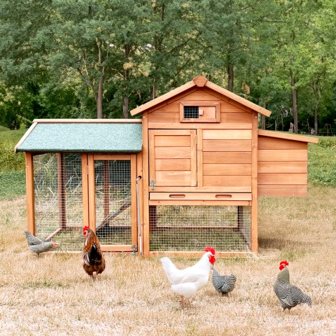Galinheiro de madeira para galinhas poedeiras de exterior de jardim 152x62x92 Marf Promoção