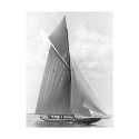Impressão em tela The Vanitie During the America's Cup, 1910 Edwin Levick Oferta