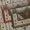Tapete de sala de estar oriental estilo persa toupeira Tabriz Venda