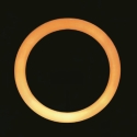 Lâmpada Ring Light para Selfie LED com Suporte para Smartphone Fira Saldos