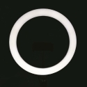 Lâmpada Ring Light para Selfie LED com Suporte para Smartphone Fira Descontos