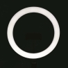 Lâmpada Ring Light para Selfie LED com Suporte para Smartphone Fira Descontos