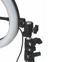 Lâmpada Ring Light para Selfie LED com Suporte para Smartphone Fira Compra