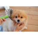 Escova de Higiene para Animais Removedora de Pelos Autolimpante Lima Oferta