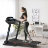 Tapete de corrida elétrico dobrável inclinável 12 programas com rodas K2 Venda
