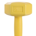 Halteres palestra 2 Kg hexagonais anti-rolamento Biron Saldos