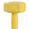 Halteres palestra 2 Kg hexagonais anti-rolamento Biron Saldos