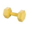 Halteres palestra 2 Kg hexagonais anti-rolamento Biron Promoção
