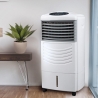 Climatizador Portátil 3 em 1 Umidificador Purificador de Ar Triofresh Venda