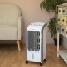 Raffrescatore Portátil 3 em 1 Ventilador e Humidificador Smart Fresh Venda