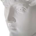 Escultura Decorativa Cabeça de Homem em Resina 44x35,5x60cm David Estoque