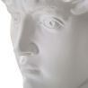 Escultura Decorativa Cabeça de Homem em Resina 44x35,5x60cm David Estoque