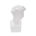 Estatueta escultura decorativa em resina branca rosto masculino Enea Promoção