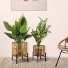 Conjunto de 2 suportes para vasos redondos em rattan com suporte em metal preto Zeyok Venda