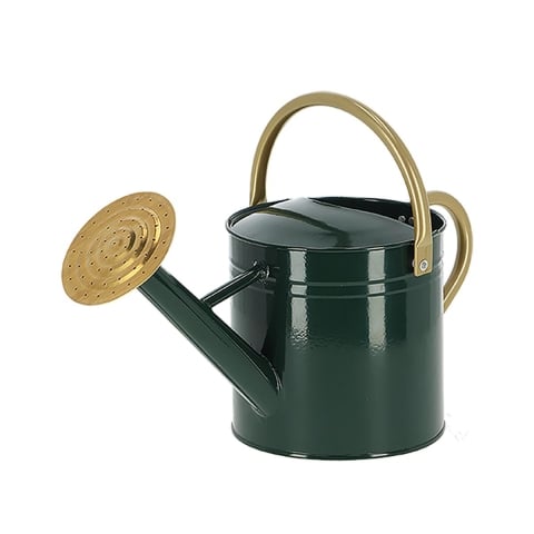 Regador com bico redondo para jardim e varanda Verde S Promoção