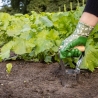 Foraterra para Plantar Bolbos de Flores em Aço Inoxidável com Cabo de Madeira Estoque