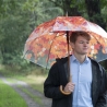 Guarda-chuva efeito árvore de outono com cabo de madeira Venda