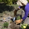 Porta-ferramentas de jardim enrolável em lona encerada Venda