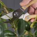 Conjunto de poda com ferramentas de jardinagem Saldos