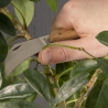 Conjunto de poda com ferramentas de jardinagem Descontos