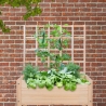 Suporte em madeira para plantas trepadeiras 78,2x3,8x84,9cm Venda