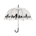 Guarda-chuva transparente com decoração de passarinhos no fio Promoção