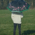Guarda-chuva com tulipas que mudam de cor com a chuva Venda