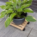 Carrinho quadrado para vasos de plantas em madeira com rodas Venda