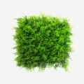 Sebe artificial 50x50cm planta de feto falso 3D jardim varanda Pritus Promoção