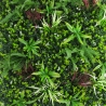 Sebe artificial 100x100cm planta 3D realista varanda jardim Briux Saldos