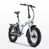 Bicicleta Elétrica Dobrável ebike 250W Bateria de Lítio Shimano Rsiii Estoque