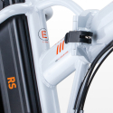 Bicicleta Elétrica Dobrável ebike 250W Bateria de Lítio Shimano Rsiii Preço