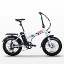 Bicicleta Elétrica Dobrável ebike 250W Bateria de Lítio Shimano Rsiii Catálogo