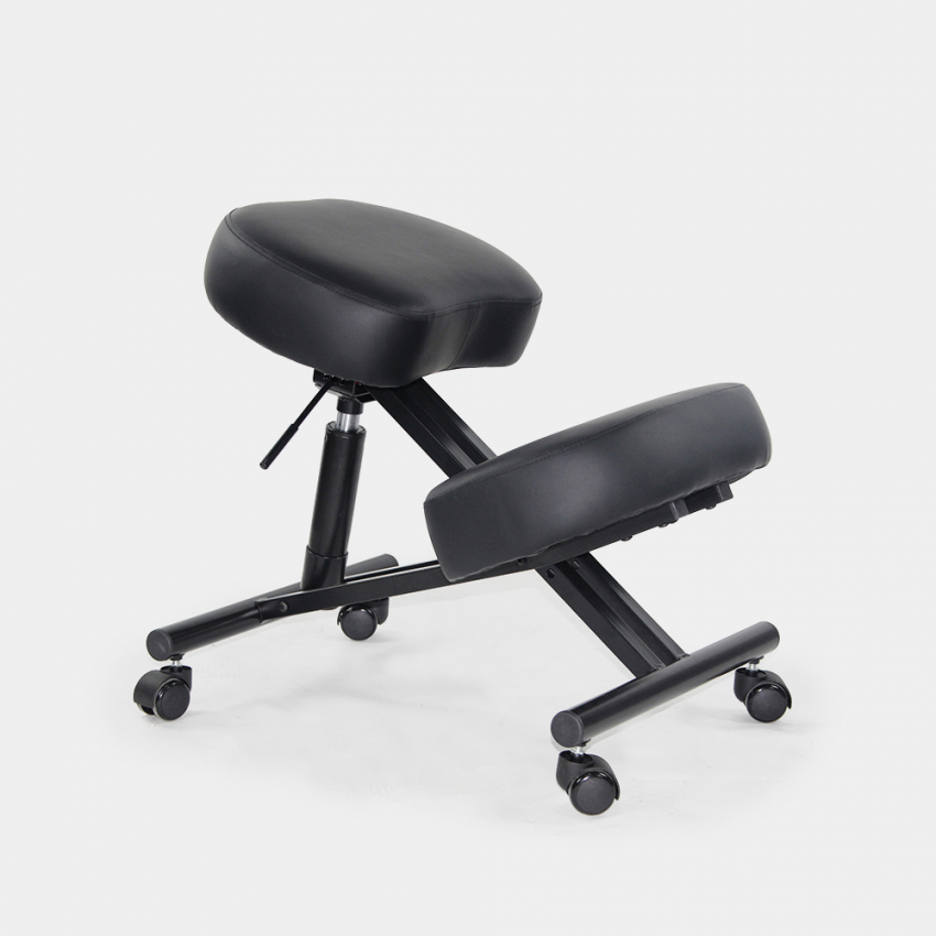 Cadeira Ortopédica de Metal e Couro Confortável Balancesteel Lux Promoção