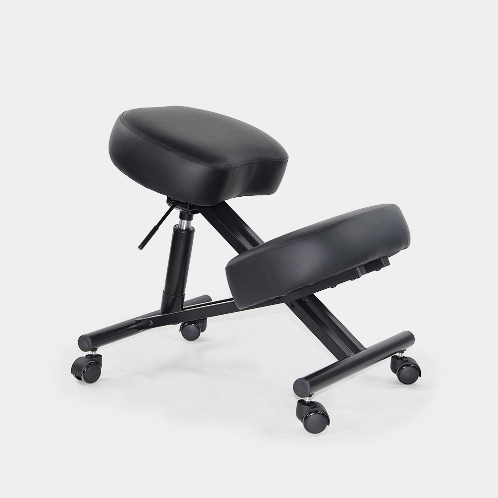 Cadeira Ortopédica de Metal e Couro Confortável Balancesteel Lux