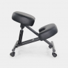 Cadeira Ortopédica de Metal e Couro Confortável Balancesteel Lux Oferta