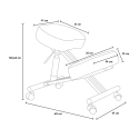 Cadeira Ortopédica de Metal e Couro Confortável Balancesteel Lux Características