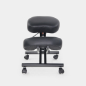 Cadeira Ortopédica de Metal e Couro Confortável Balancesteel Lux Catálogo