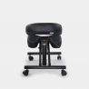 Cadeira Ortopédica de Metal e Couro Confortável Balancesteel Lux Estoque