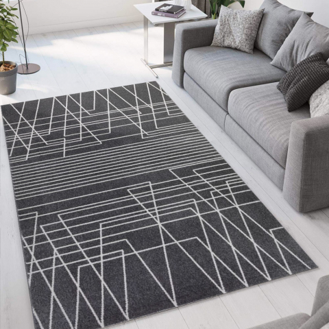 Tapete Preto Moderno Alta-Qualidade Retangular GRI016 Promoção