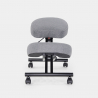 Cadeira Ortopédica de Tecido Ergonómico Sueco e Bancada Metálica Balancesteel lux 