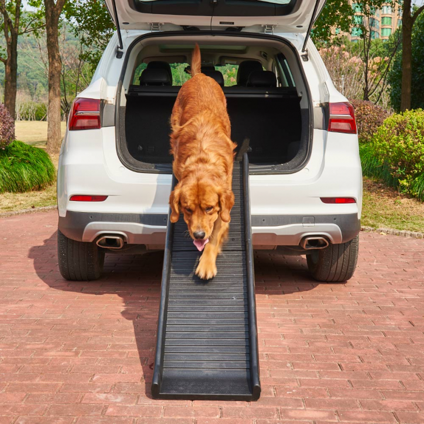 Rampa para Cães Dobrável em Plástico Portátil para Automóvel Cody
